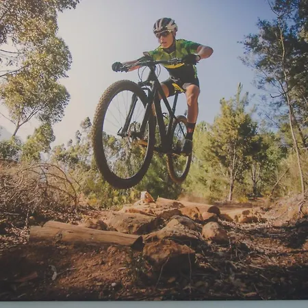 아파트 Downhill Am Bocksberg *